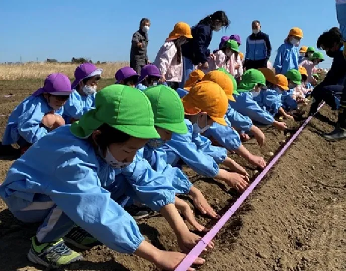 収穫・植え付け体験