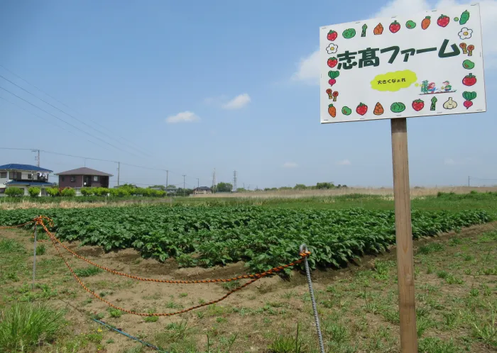 志髙ファーム